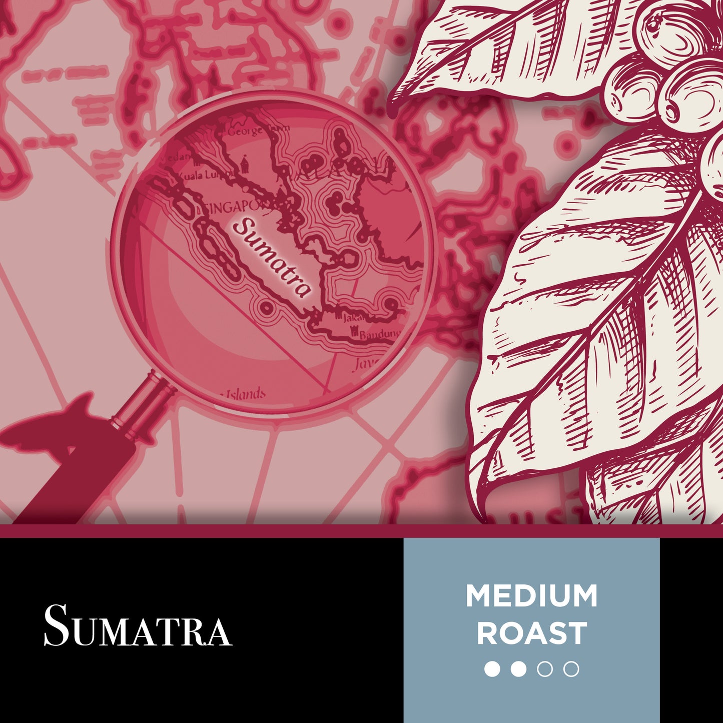 Sumatra Medium Roast